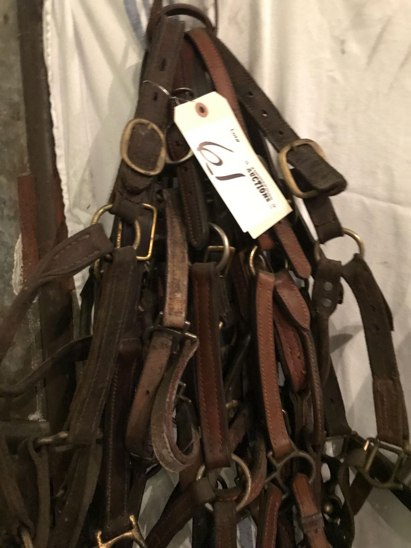 Leather halters - Image 3 of 3