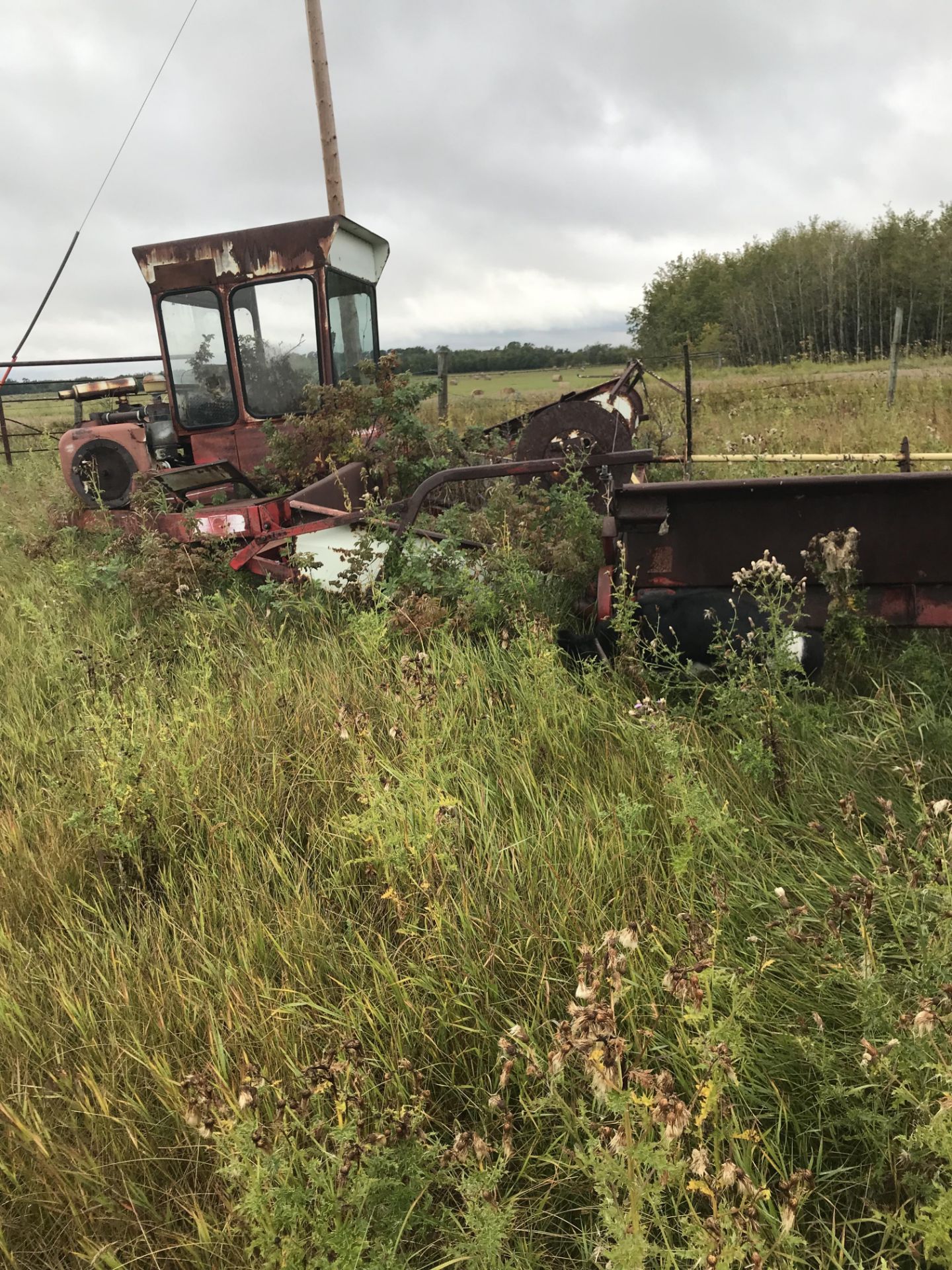 2 swathers,NH, Cockshutt, JD Endwheel drill, barb wire - Image 2 of 3