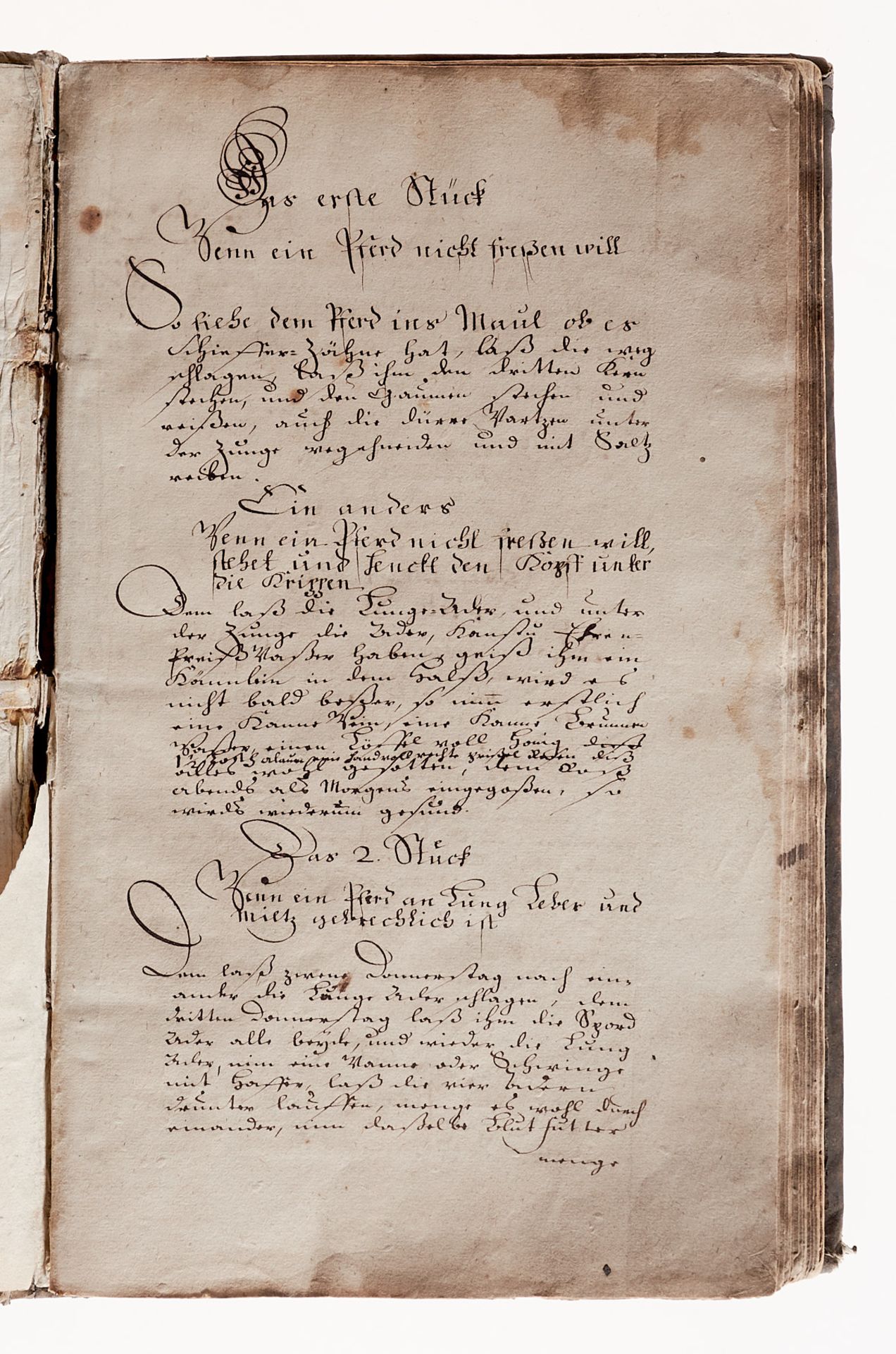 Pferdearzneibuch - Deutsche Handschrift auf Papier. - Image 2 of 3