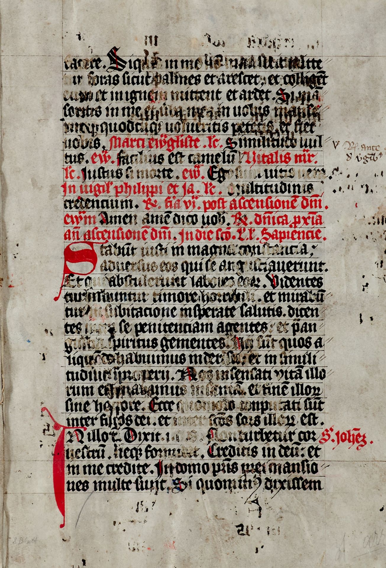 Lektionar - Fragment. 8 Bl. aus einer lateinischen