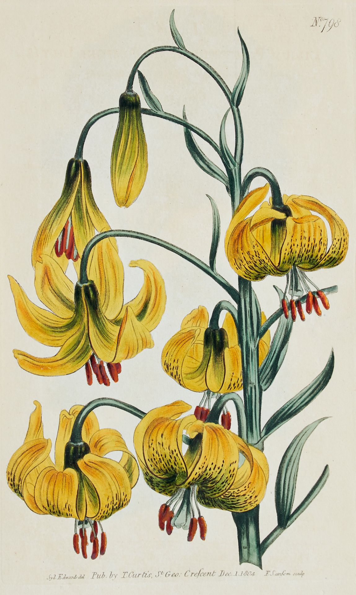 Flora Konvolut - Ca. 250 Blätter aus der Pflanzenwelt in - Image 4 of 10