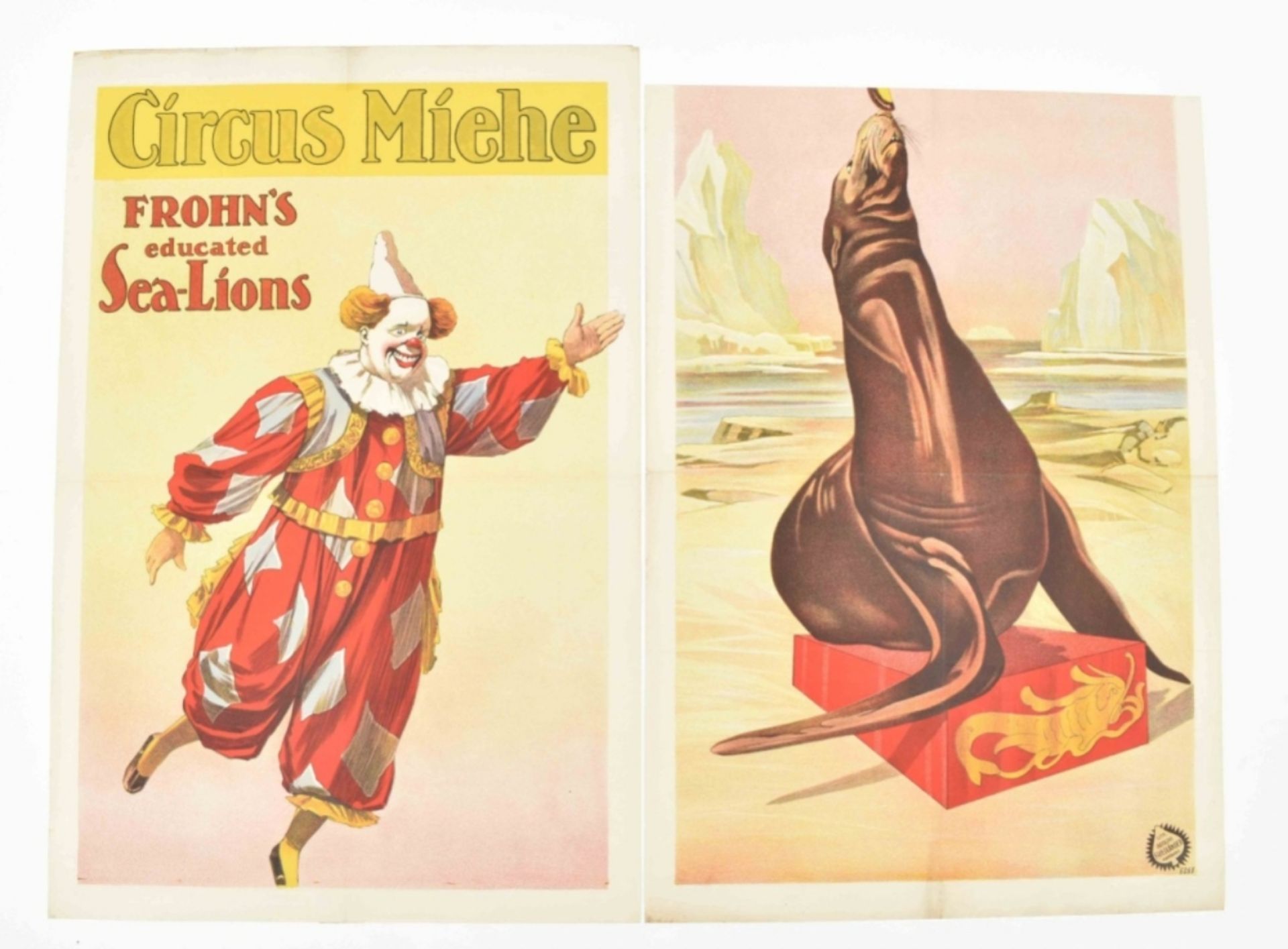 [Clowns] [Acrobatics. Sea lions. Circus Miehe] Educated sea-lions Friedländer, Hamburg, 1914