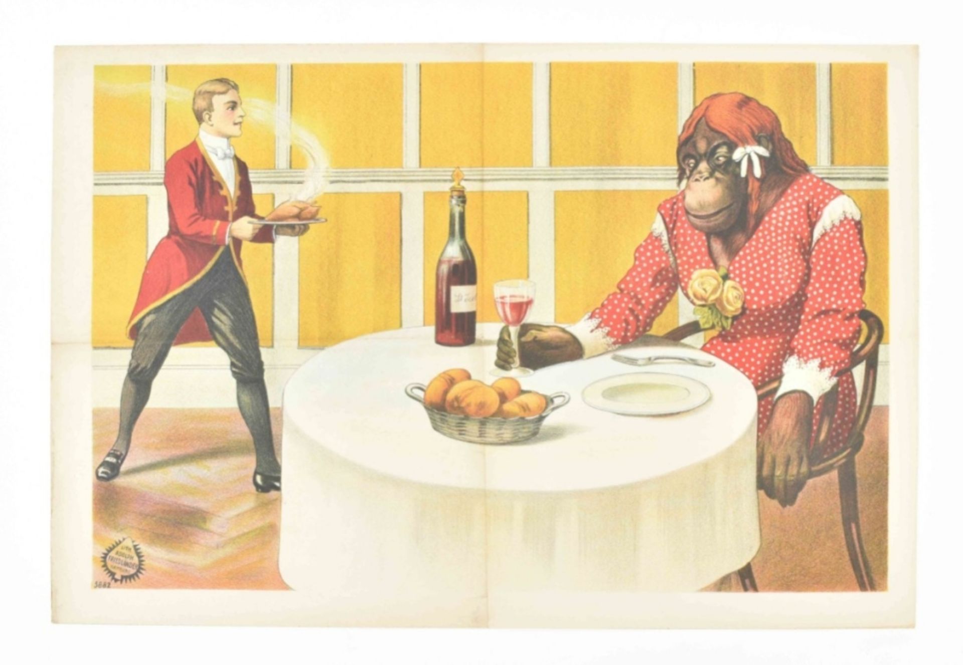 [Animal Dressage/Monkeys] Act of a Chimpansee dressed as a woman eating dinner. Friedländer, 1913
