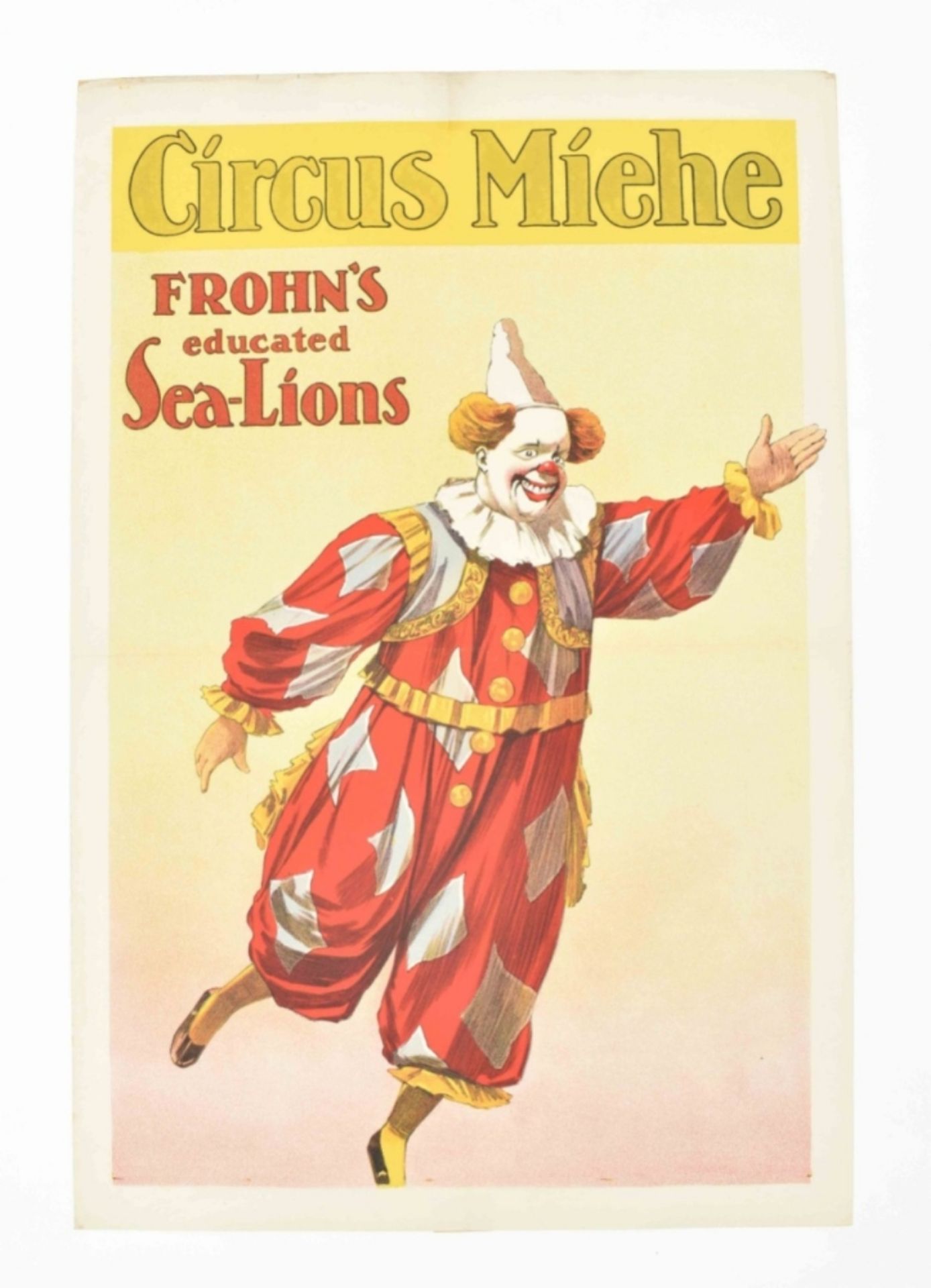 [Clowns] [Acrobatics. Sea lions. Circus Miehe] Educated sea-lions Friedländer, Hamburg, 1914 - Image 2 of 6