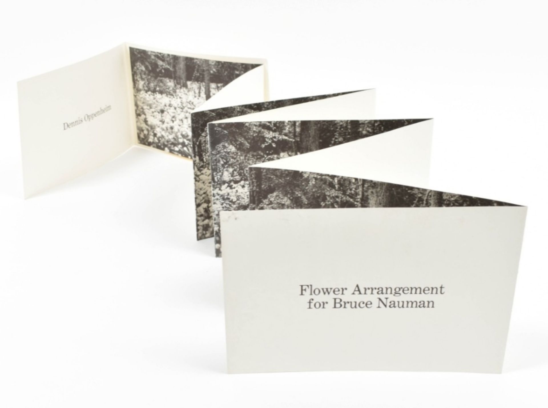 [s and 1970s] Dennis Oppenheim, Flower Arrangement for Bruce Nauman