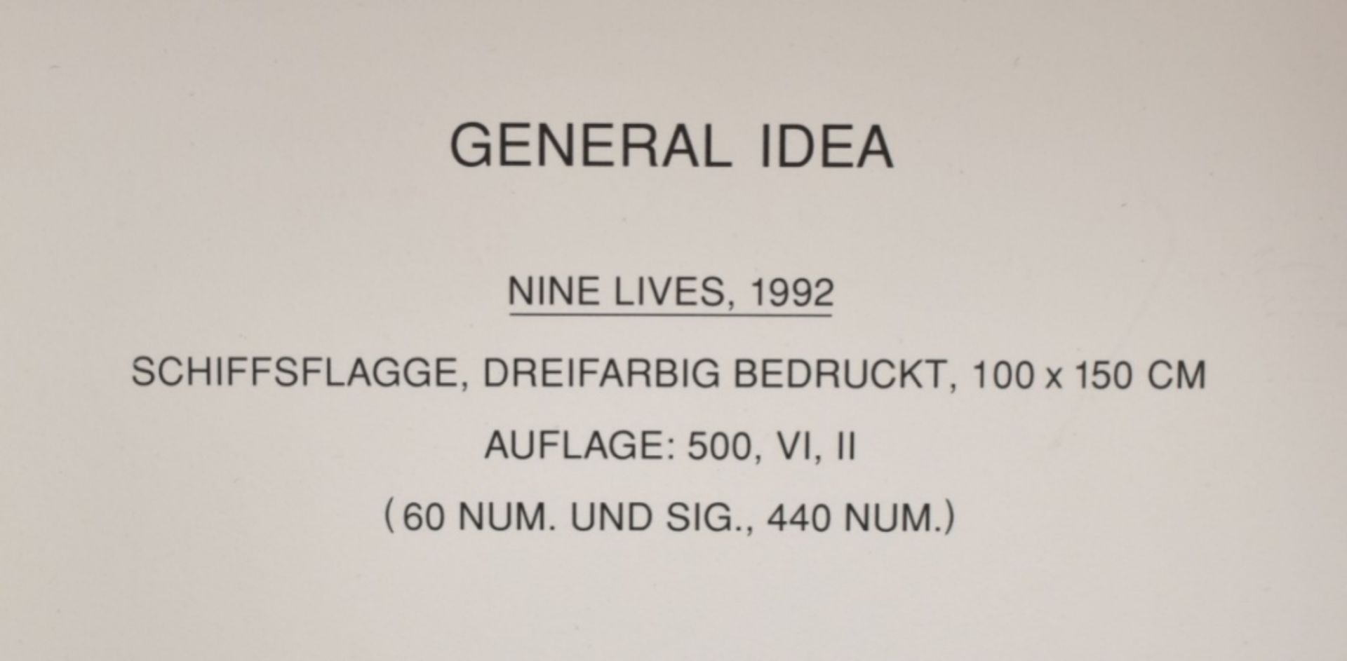 [s and up] General Idea, Nine Lives - Bild 6 aus 6