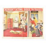 [Animal Dressage/Dogs] Merian's acting dogs The Elopement. IV act. Friedländer, Hamburg, 1908