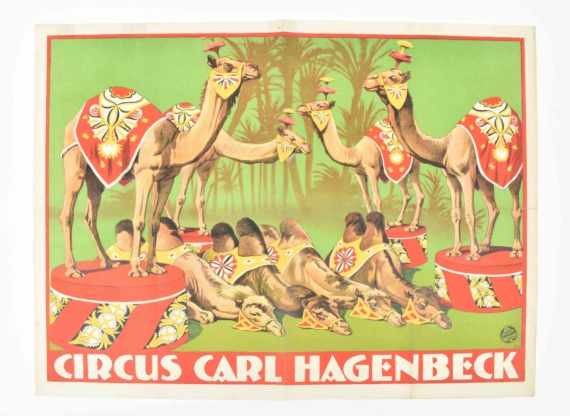 [Animal Dressage]  "Dressage of camels and dromedaries"  Friedländer, Hamburg, 1921
