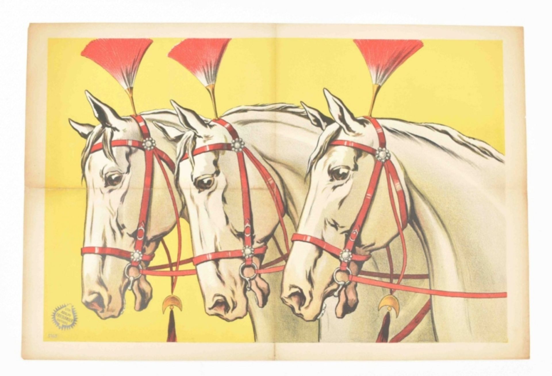 [Animal Dressage] [Horses] "Three horses with decorative bridle" Friedländer, Hamburg, 1913