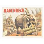 [Animal Dressage/Elephants] Circus Hagenbeck. "Tamers riding Elephants" Friedländer, Hamburg, 1915