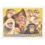 [Animal Dressage] [Monkeys] Circus Hagenbeck. "Various types of monkeys" Friedländer, Hamburg, 1926