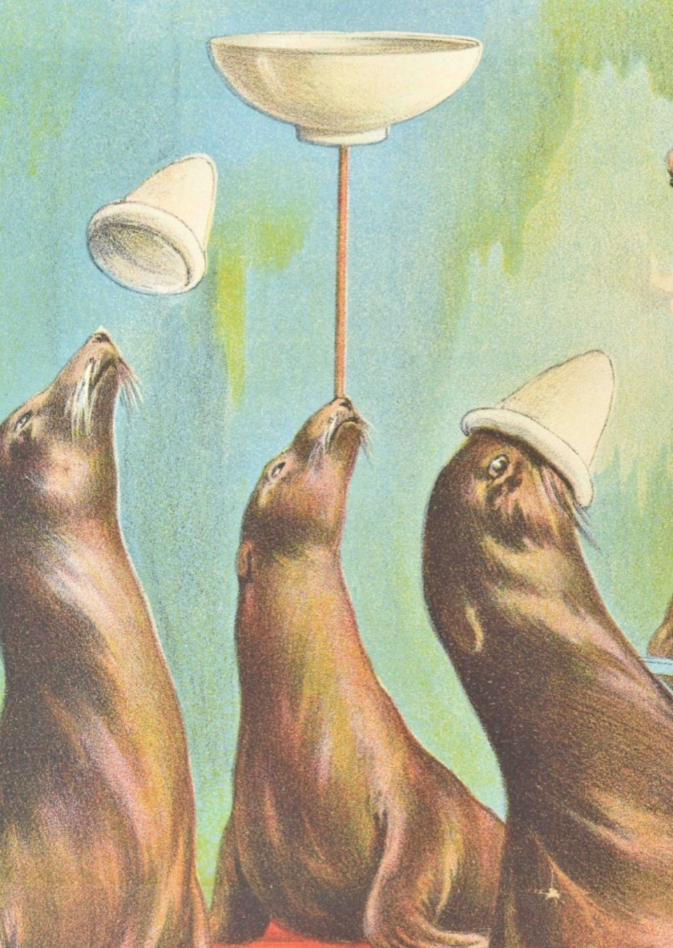 [Sea Lions. Acrobatics] Captain Bilyck and his troupe of trained sea lions. A. Friedländer, 1909 - Bild 4 aus 6