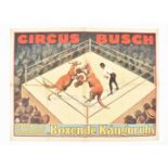 [Animal Dressage] [Kangaroos] Circus Busch. Boxende Känguruhs [..] Friedländer, Hamburg, 1924