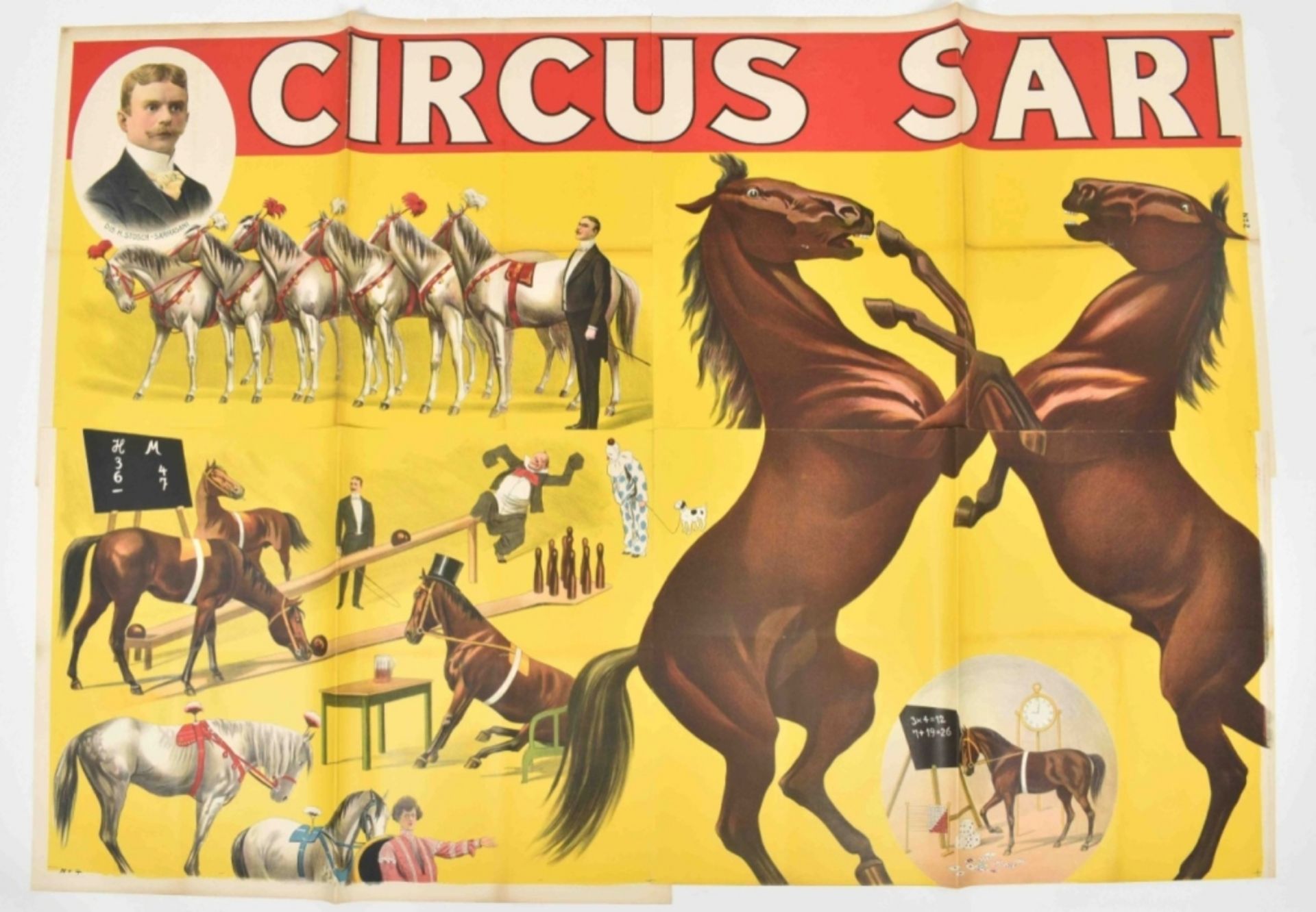 [Horses] Circus Sarrasani. Grösster und elegantester Zelt-circus Europas. Friedländer, Hamburg, 1905