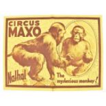 [Animal Dressage] [Monkeys] Circus Maxo. Nathal, the mysterious monkey! Friedländer, Hamburg, 1932