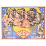 [Animal Dressage] Circus Busch. Dressage act of elephants and a woman. Friedländer, Hamburg, 1931