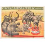 [Animal Dressage/Elephants]. Circus Blumenfeld. W.we Guhrau Friedländer, Hamburg, 1912