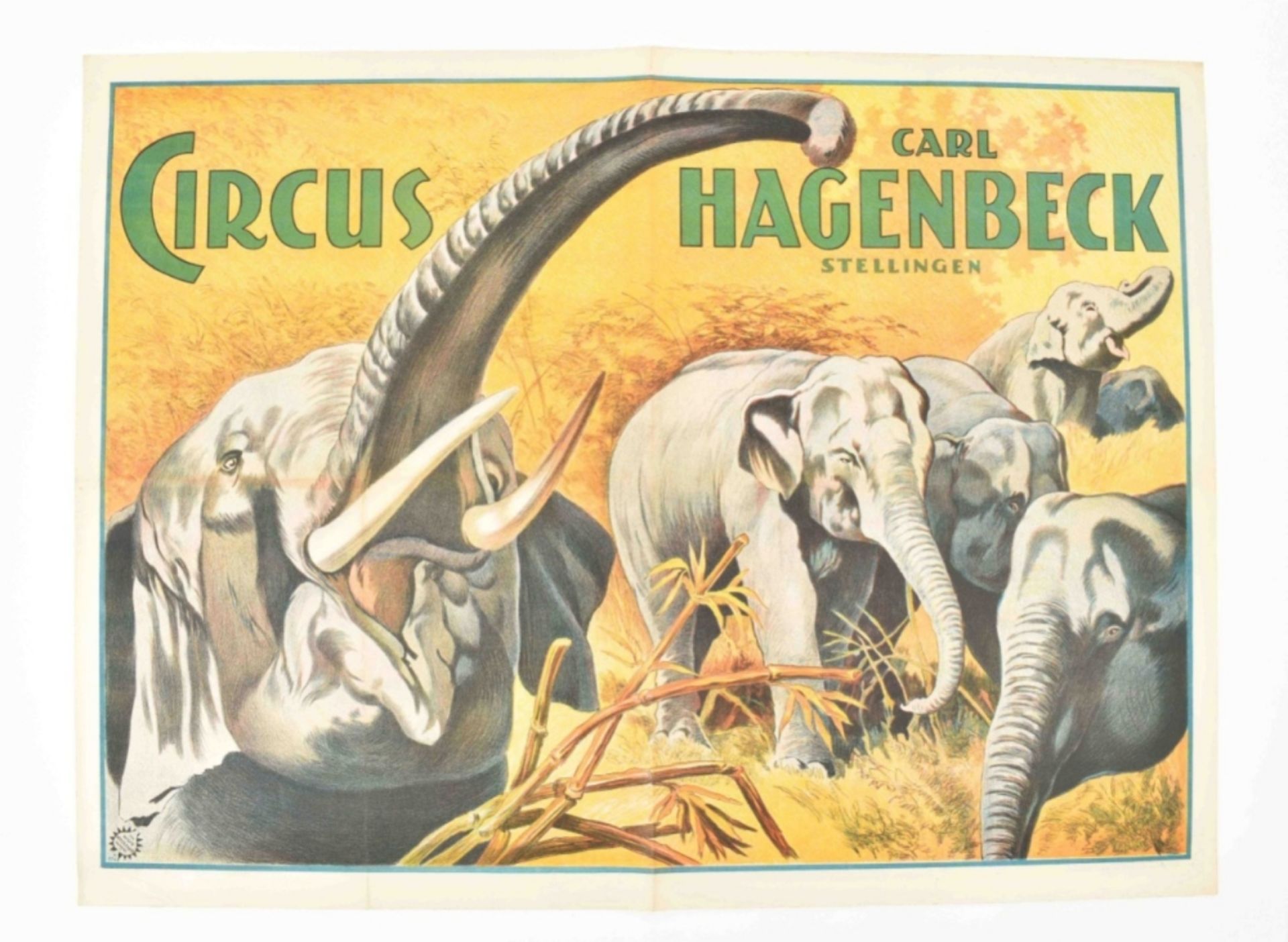 [Animal Dressage] [Elephants] Circus Hagenbeck. "Elephants in the wild" Friedländer, Hamburg, 1925