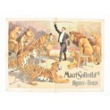 [Animal Dressage] [Lions. Tigers] Macri Soliothi's tigres et lions Friedländer, Hamburg, 1911