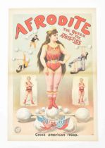 [Freakshow ] Afrodite, the queen of athletes Greek American troup. Friedländer, Hamburg, 1900