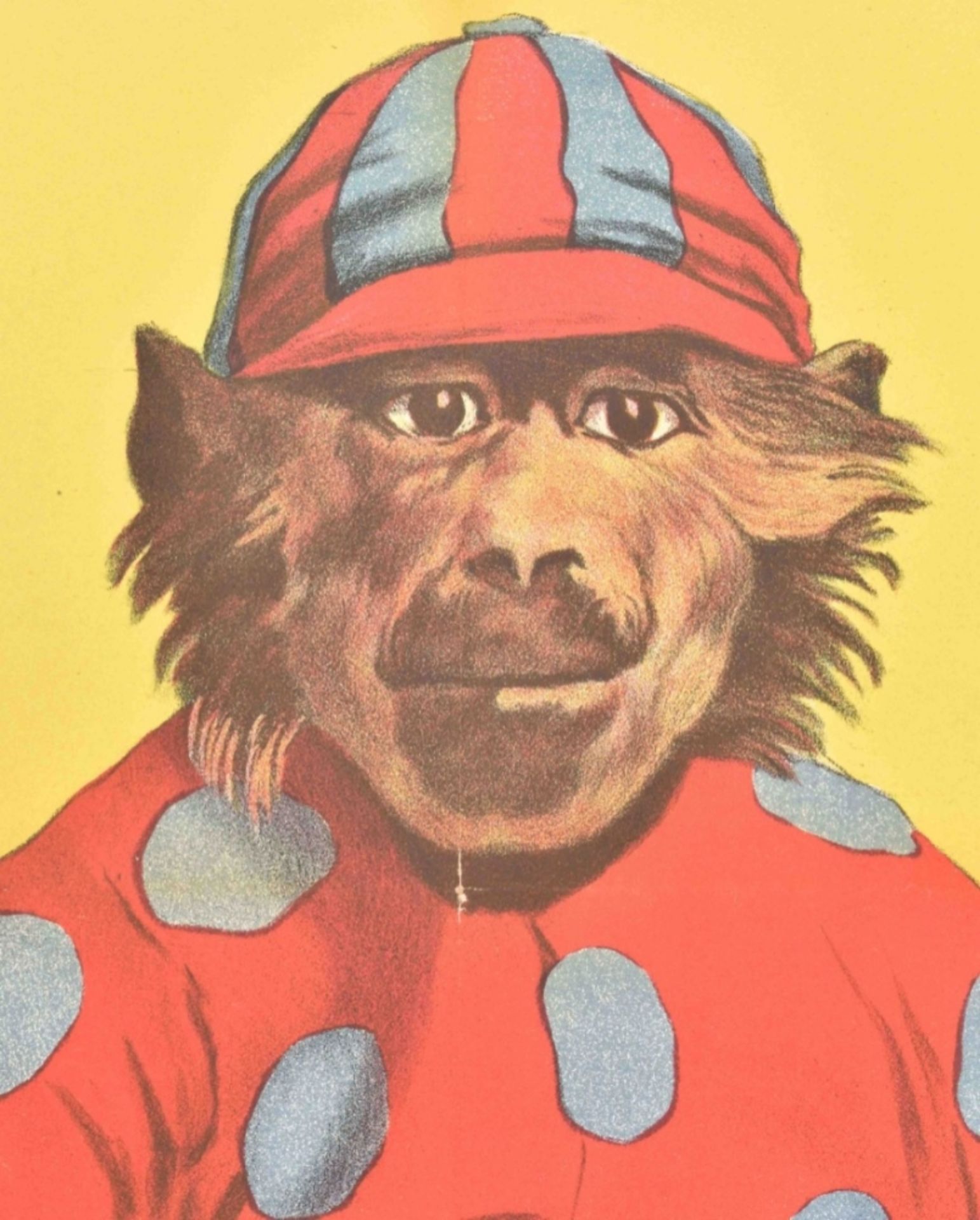 [Animal Dressage] [Monkeys] "Baboon dressed as a Jockey" Friedländer, Hamburg, 1909 - Image 4 of 4