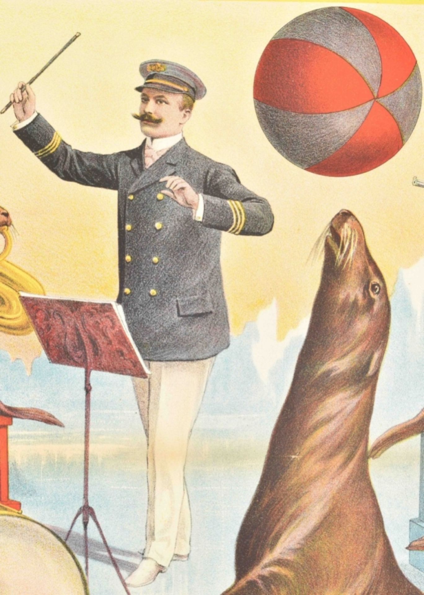[Sea Lions. Acrobatics] Captain Bilyck and his troupe of trained sea lions. A. Friedländer, 1909 - Bild 2 aus 6