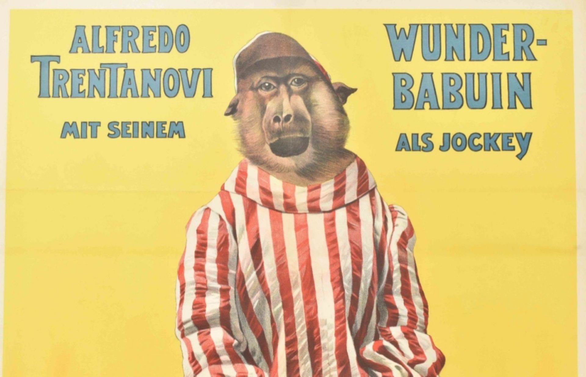 [Animal Dressage/Monkeys] Alfredo Trentanovi mit Wunderbabuin als Jockey [..] Friedländer, 1906 - Image 4 of 4