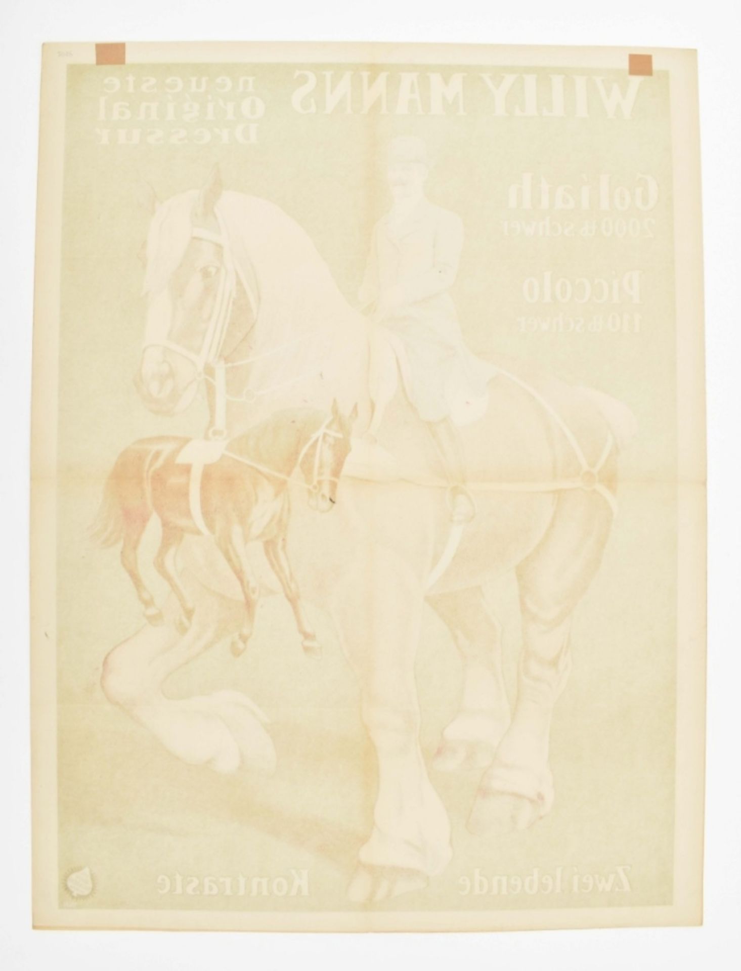 [Horses] Willy Mann's neueste Original Dressur - Bild 2 aus 6