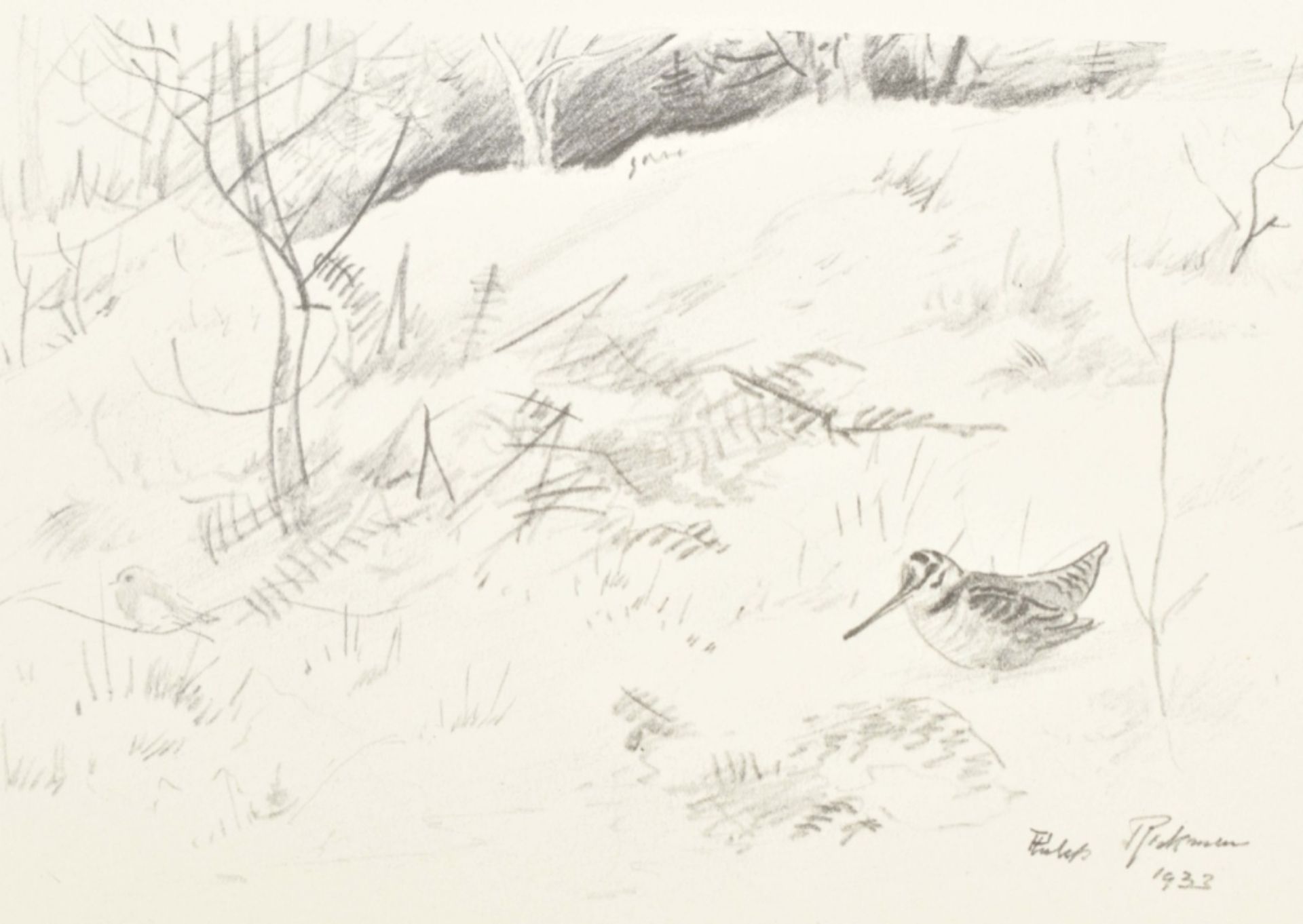 Philip Rickman. Bird Paintings and Sketches - Image 8 of 10