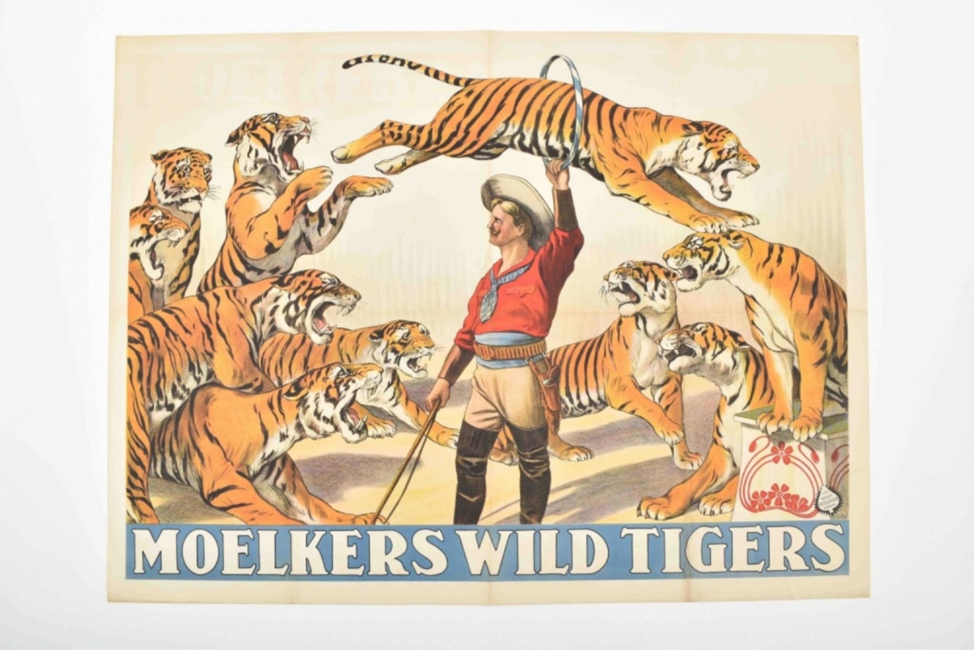 [Tigers] Moelkers Wild Tigers - Image 6 of 6