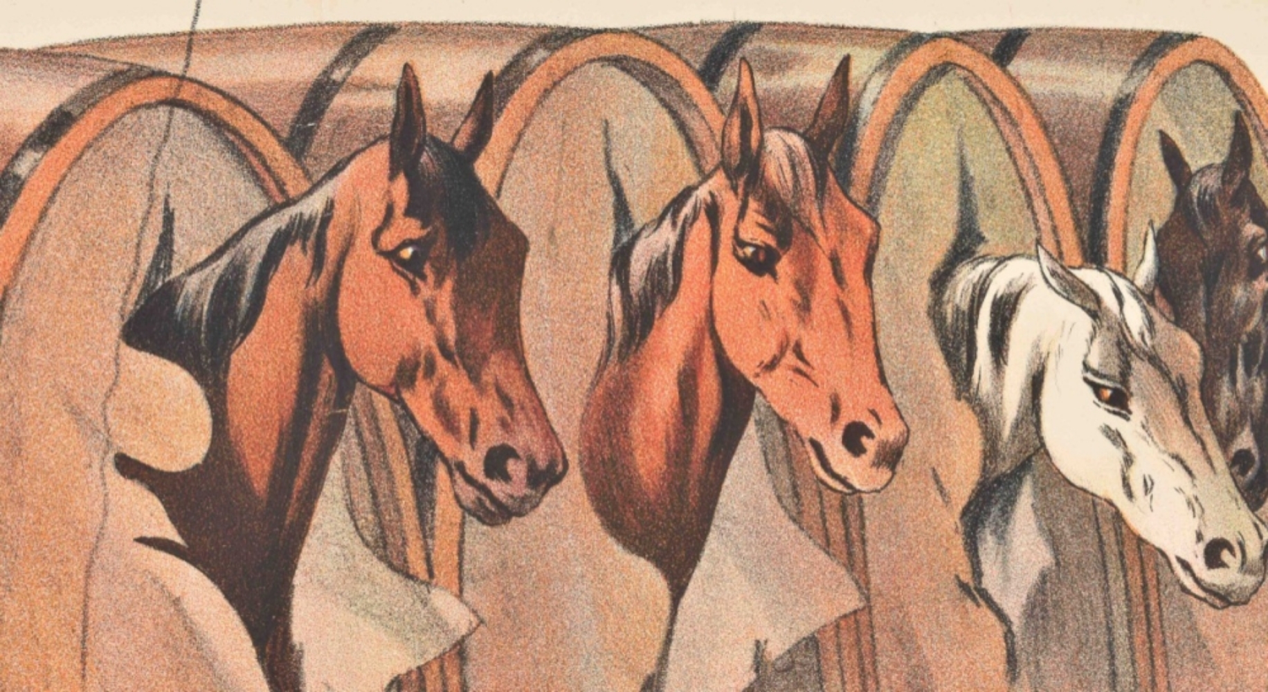 [Horses. Corty-Althoff] Die berühmten Brauerpferde - Image 6 of 7