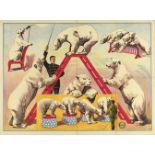 [Polar bears] "Dressage of polar bears with tamer"