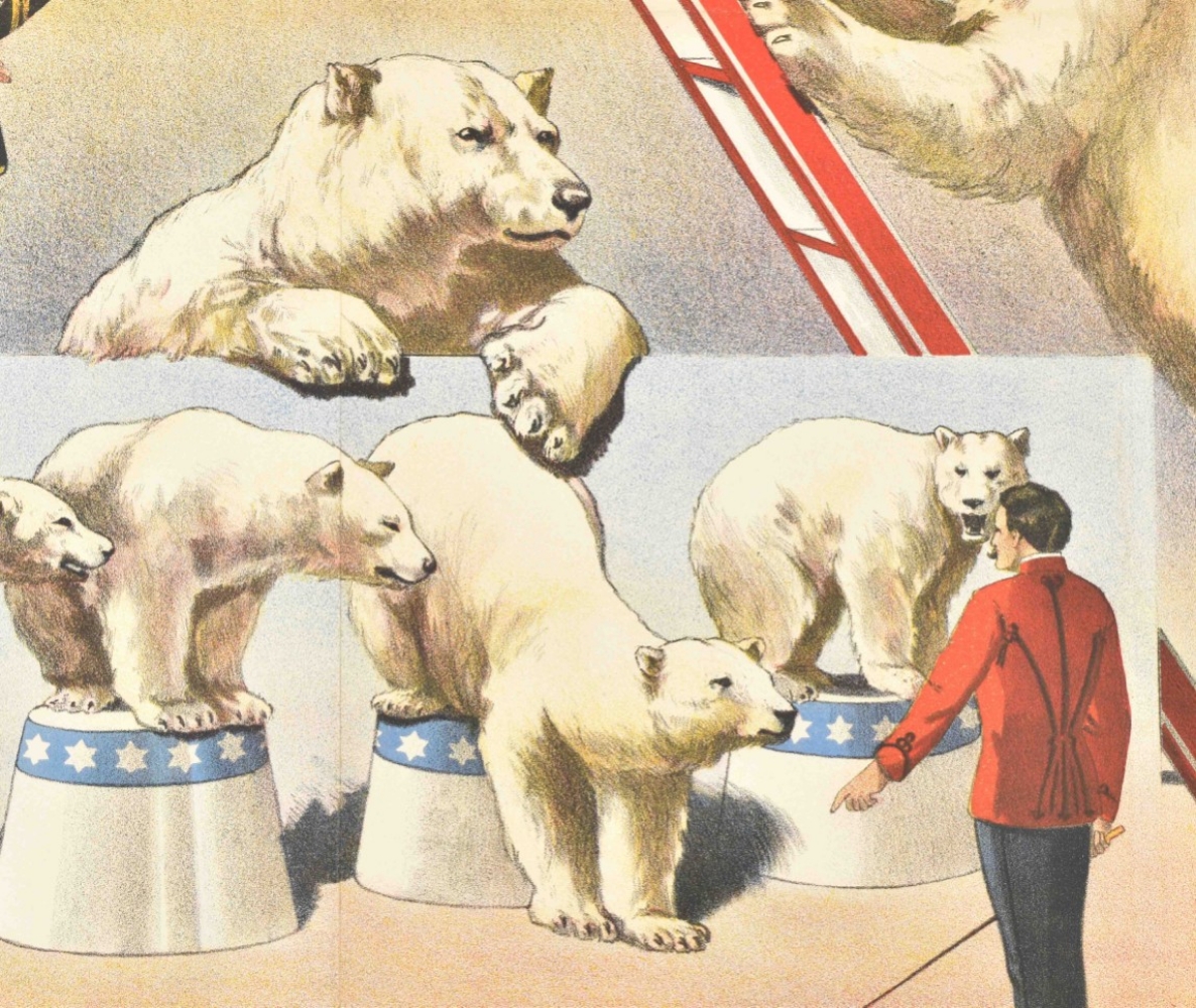 [Polar bears] "Tamer with polar bears" - Image 4 of 7