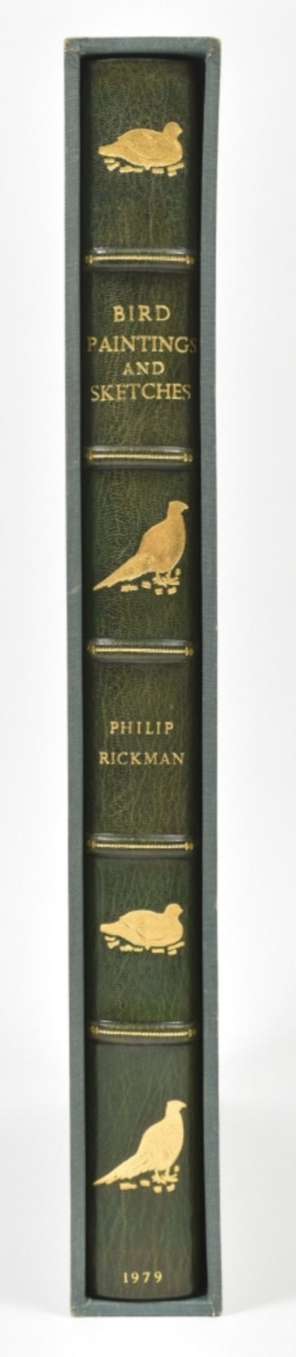 Philip Rickman. Bird Paintings and Sketches