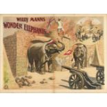 [Elephants] Willy Manns Wonder Elephants