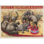 [Elephants] Circus E. Blumenfeld W.we Guhrau