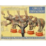 [Elephants. Corty-Althoff] A. Rossi's Marvellous Musical Elephants
