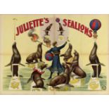 [Sea lions] Juliette's Sealions