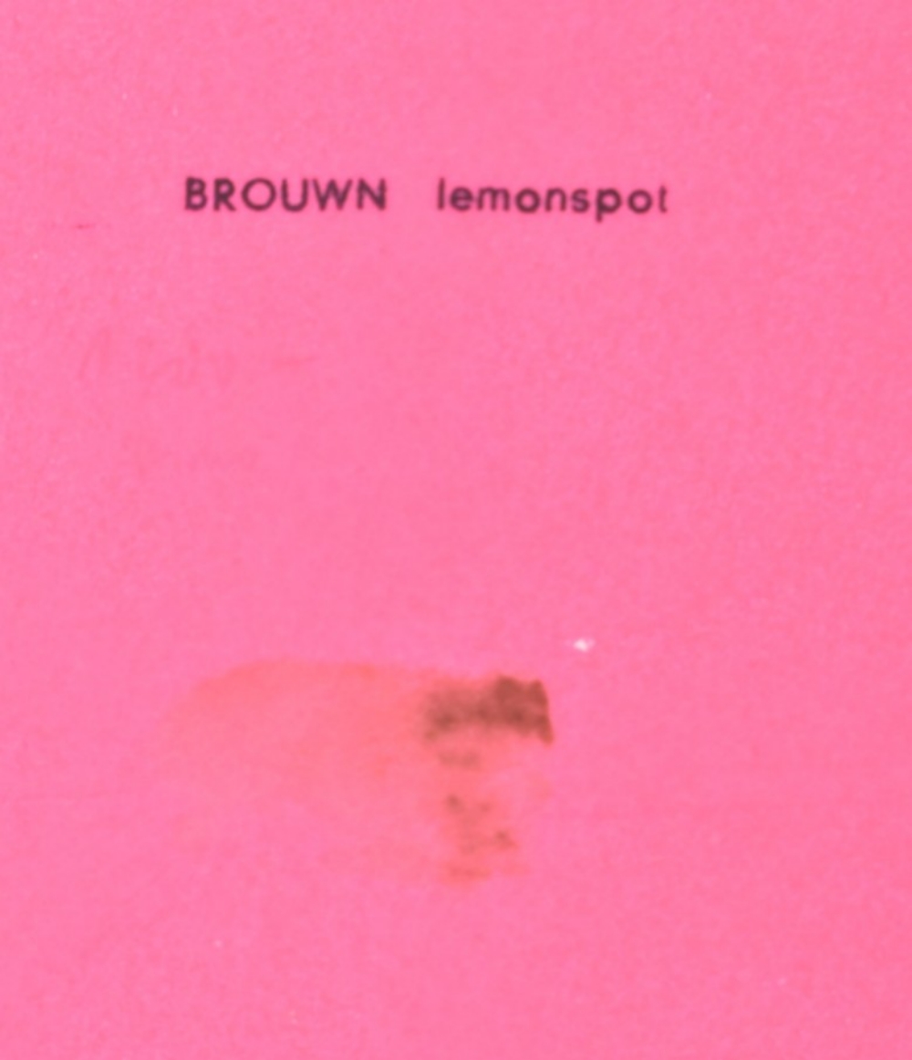 Stanley Brouwn, BROUWN Lemonspot, 1963 - Image 2 of 6