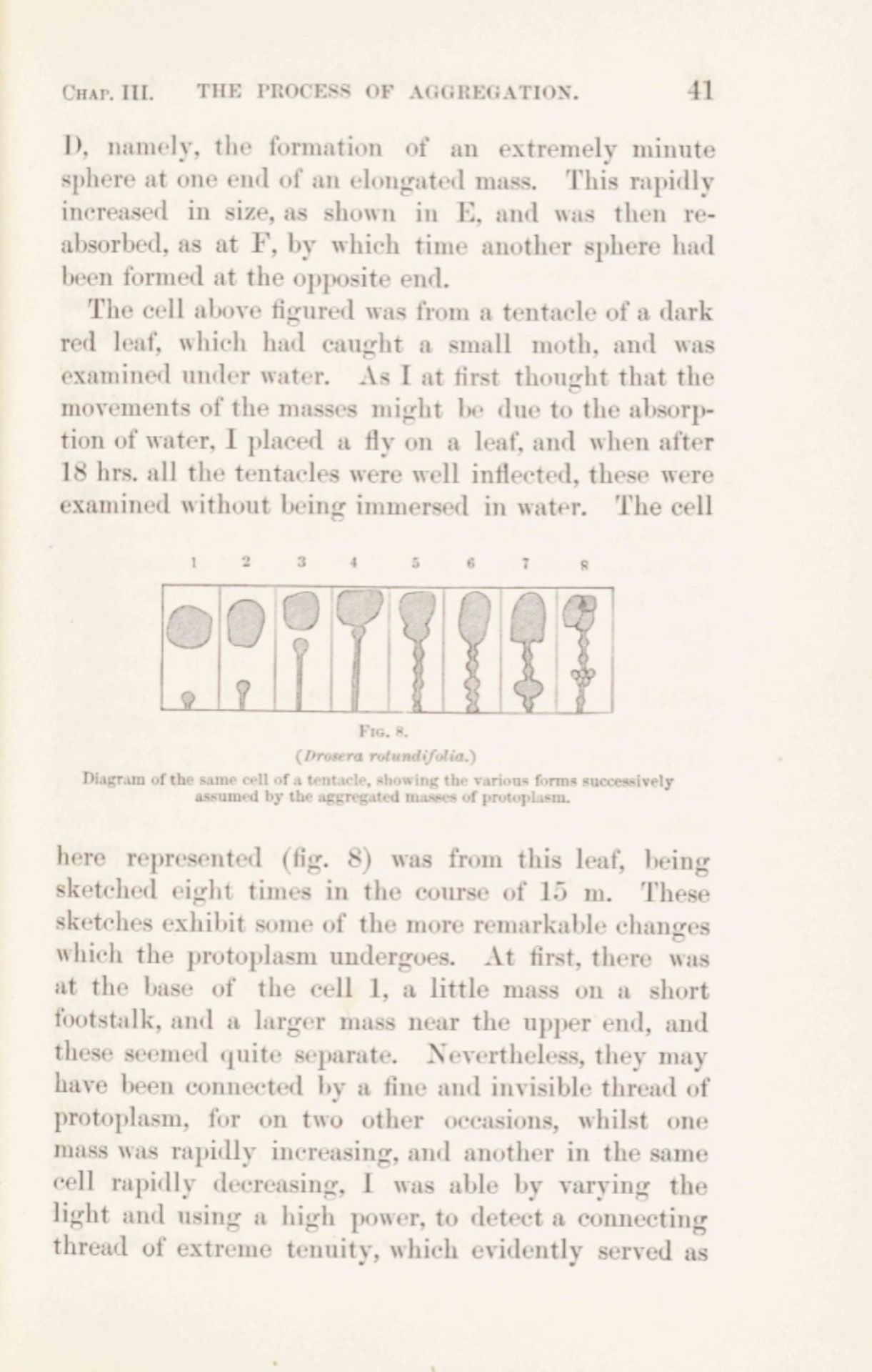 Charles Darwin. Insectivorous Plants - Image 4 of 5