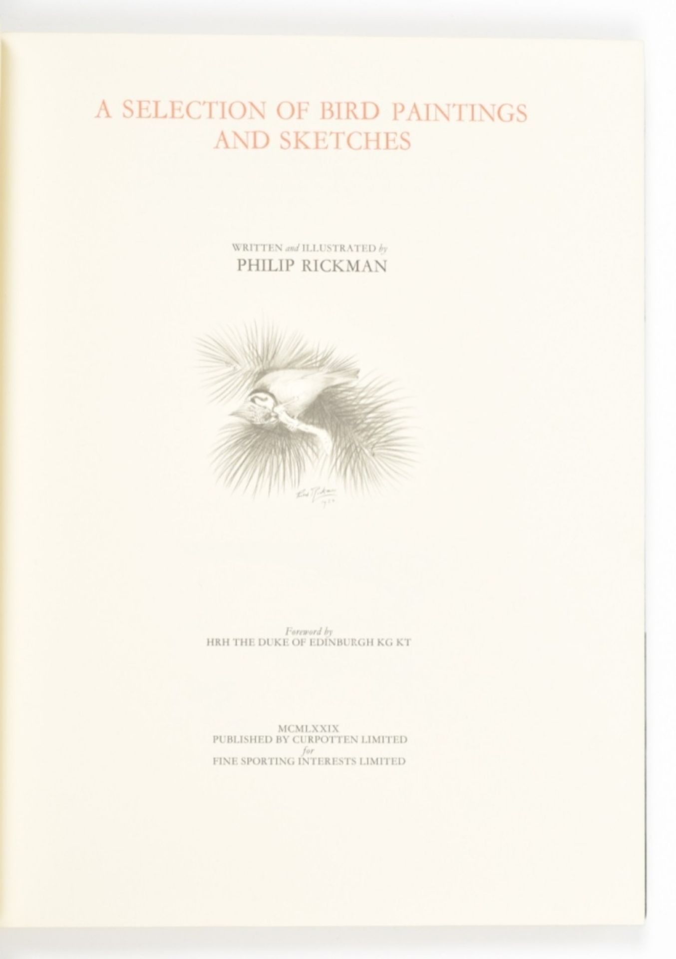 Philip Rickman. Bird Paintings and Sketches - Image 5 of 10