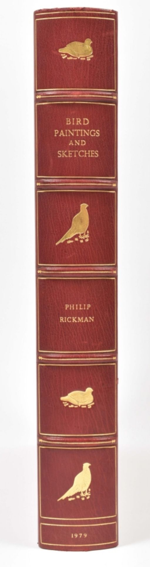 Philip Rickman. A Selection of Bird Paintings and Sketches