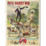 [Dogs. Horses] Mlle. C.E. Harry Dio avec leur equestre sulky acte et dressage