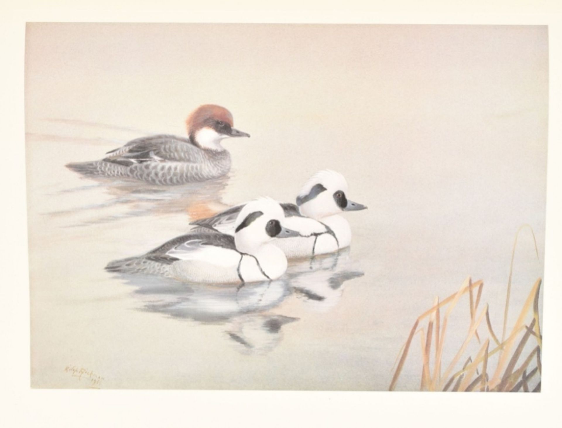 Philip Rickman. Bird Paintings and Sketches - Image 10 of 10