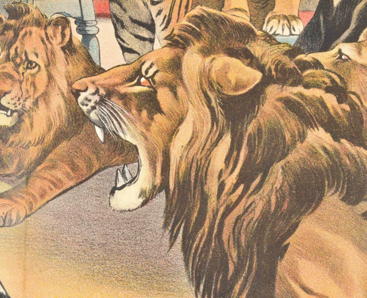 [Lions. Tigers] Hagenbeck's Schau - Image 6 of 7