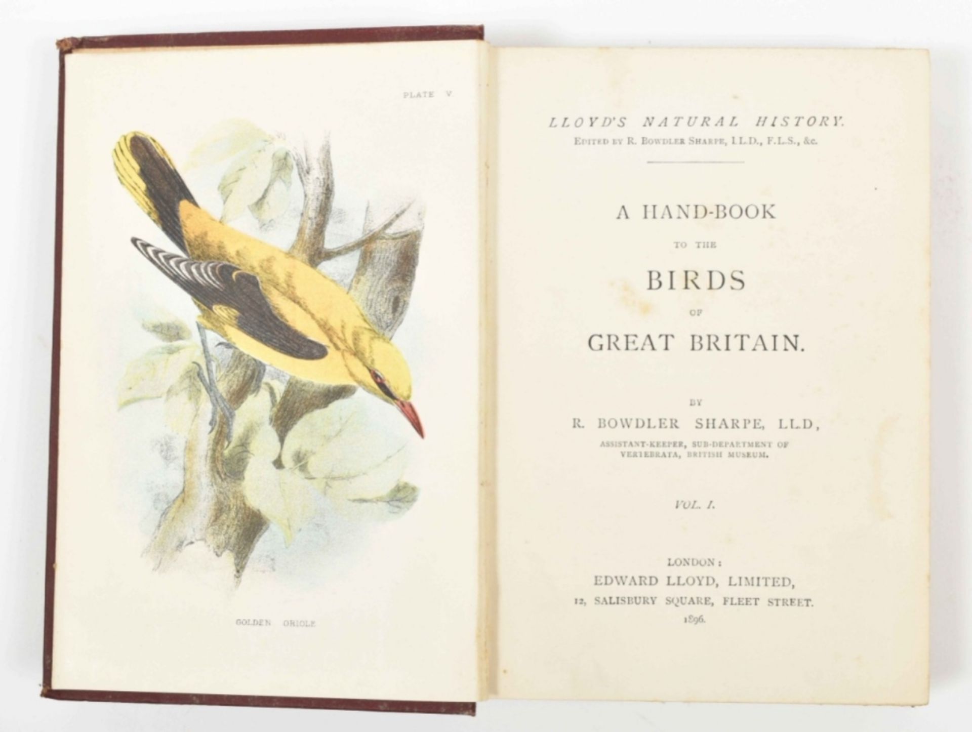 R. Bowdler Sharpe (ed.) Lloyd's Natural History - Image 3 of 8