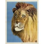 [Lions] "Portrait of a lion"