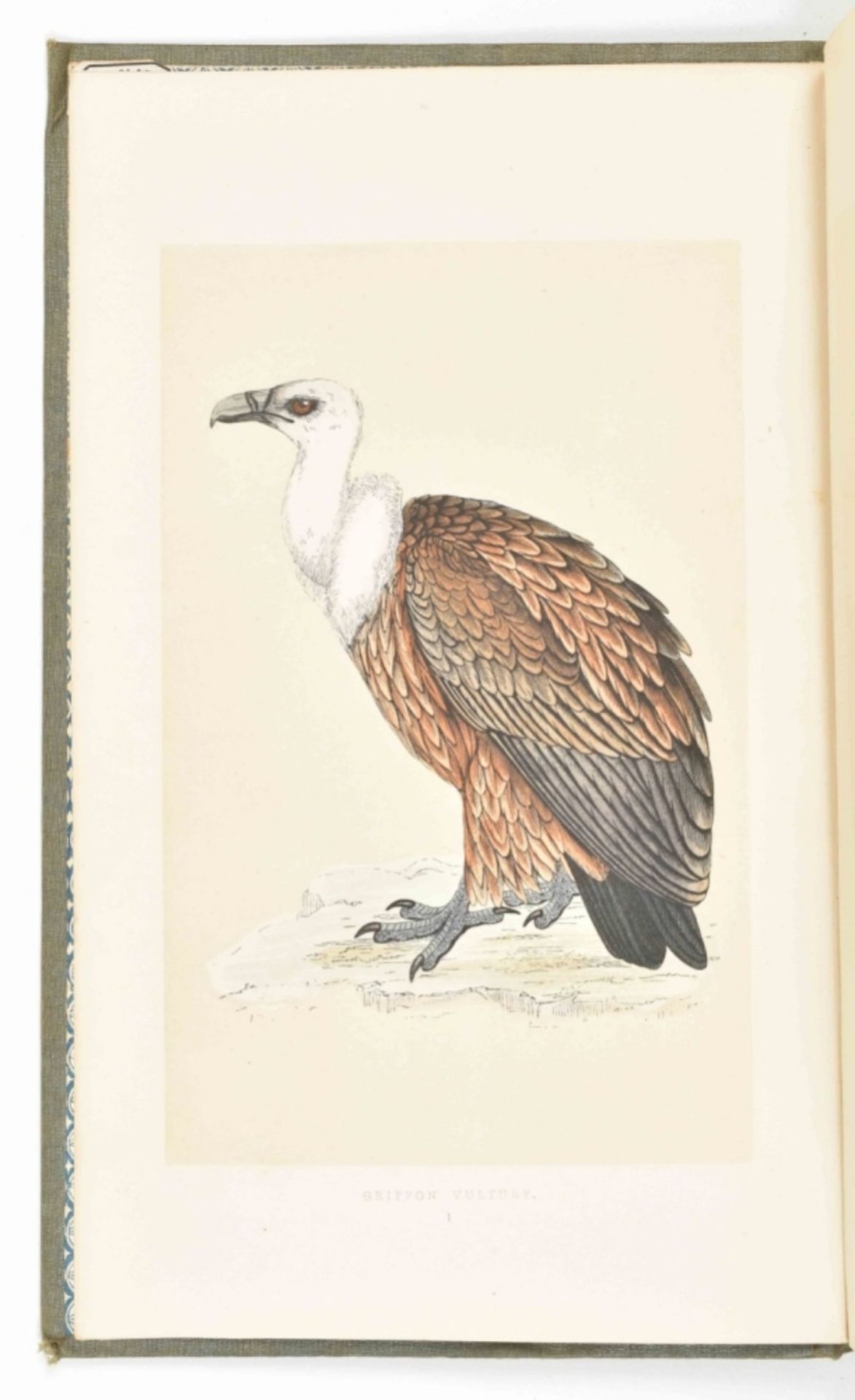 F.O. Morris. A History of British Birds - Image 9 of 10