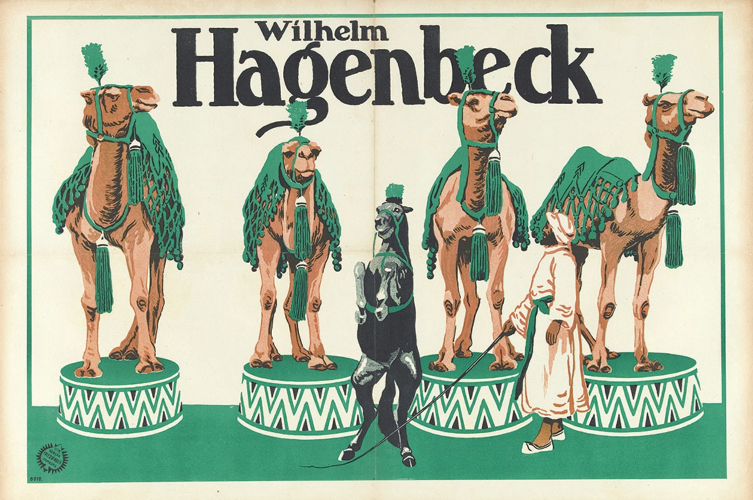 [Camels. Horses] Wilhelm Hagenbeck