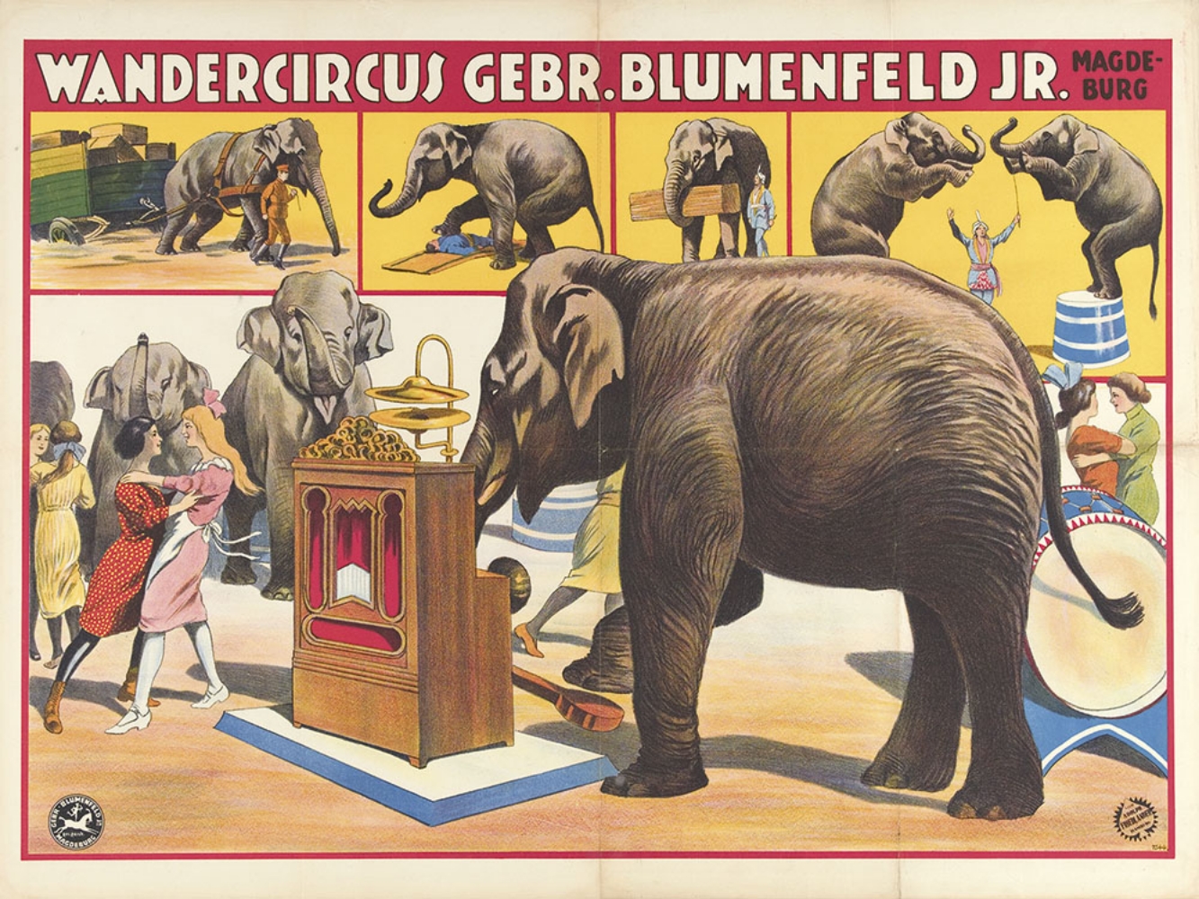 [Elephants] Wandercircus Gebr. Blumenfeld Jr.